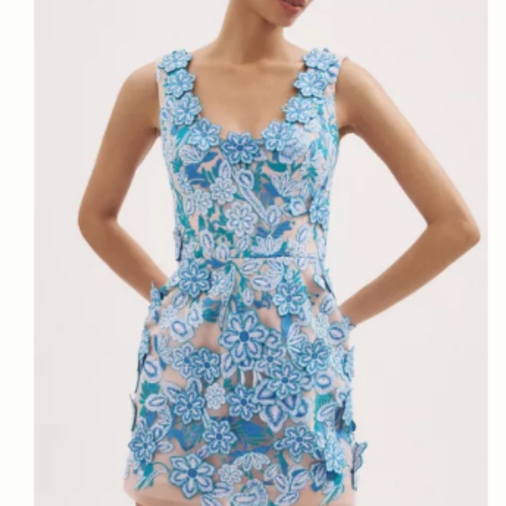 Hello Rosana 3D Floral Mini Dress Blue